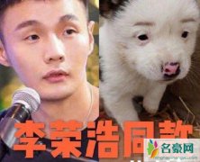 1元售卖李荣浩同款狗狗 李荣浩：为什么卖那么便宜