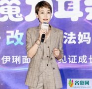 马伊琍谈孩子教育 不会让她生活在公主一样的世界