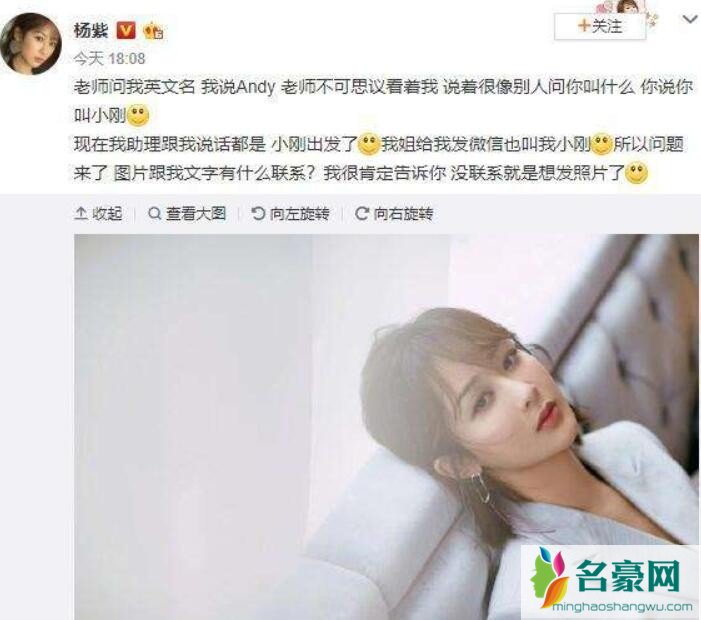 杨紫动态