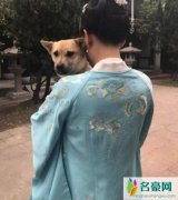 陈乔恩为爱狗庆生 陈乔恩的怀抱爱狗尽显宠溺