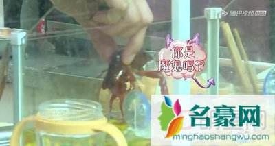 黄景瑜八卦黑历史大曝光 黄景瑜早期内裤照