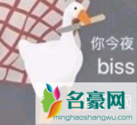 biss是什么梗？biss怎么骂回去