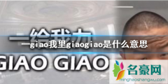 一giao我里giaogiao怎么接下一句 giao哥是怎么火起来的