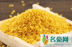小米要淘米吗 煮小米粥的技巧