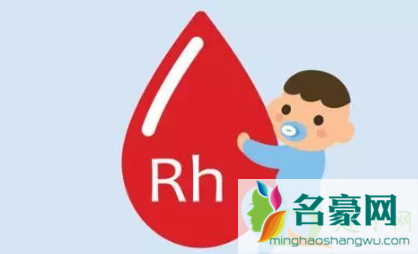 rh(d)血型阳性是什么意思2