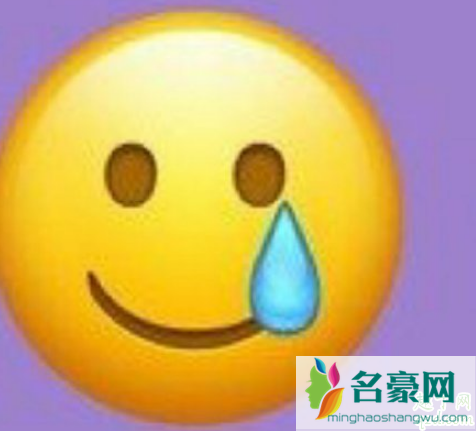 2021年将没有新Emoji表情是真的吗 Emoji表情含义图解对照表2