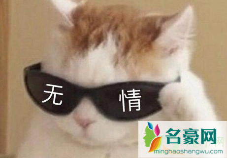 微信状态可以改几次5