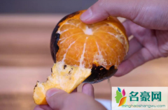 烤橘子用什么烤最好 烤橘子的具体做法