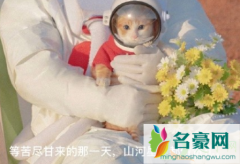 微信状态怎么设置永久 微信状态图片怎么更换
