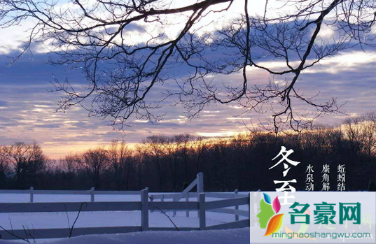 2020年冬至会下雪吗2
