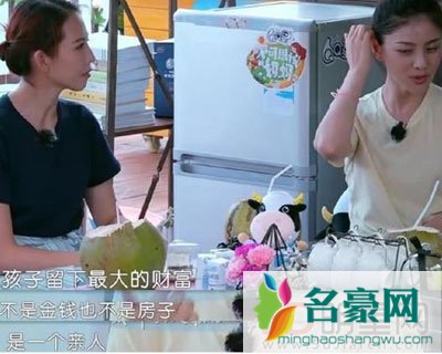 何洁赫子铭离婚的原因 不和谐不能怪某一方面是两方面的问题