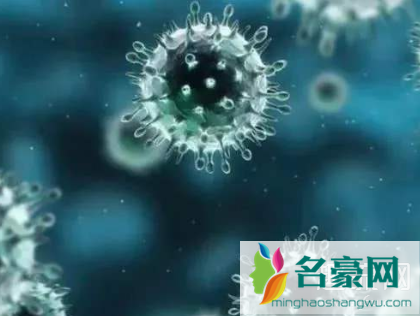 武汉的新冠病毒是变异版的吗 新冠病毒源头在哪里