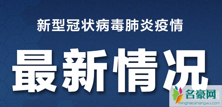 境外输入什么时候结束 什么时候清零 境外输入病例是中国人吗