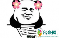 舔狗是什么意思 舔狗适合发的朋友圈文案