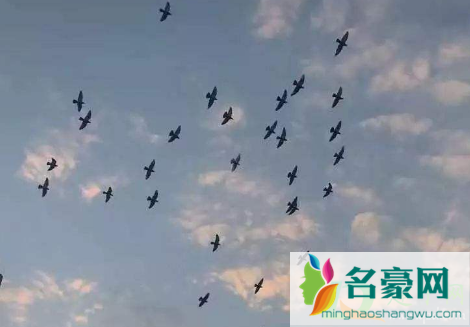 2021除夕那天冷不2