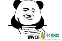 舔狗日记表情包搞笑带字 舔狗日记文案