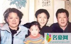 李晨与李先念的关系揭秘 李晨是李先念孙子这个谣
