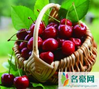 大樱桃能冷冻保存吗 大樱桃冷冻后会不会损失营养