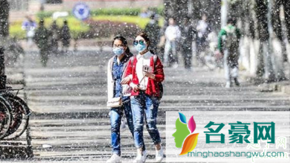 柳絮过敏会起疙瘩吗 柳絮过敏眼睛痒怎么办2