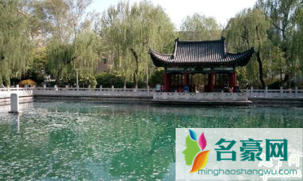 柳絮过敏会起疙瘩吗 柳絮过敏眼睛痒怎么办4