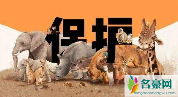 广东禁食所有人工饲养陆生野生动物 陆生野生动物是什么意思 包括哪些