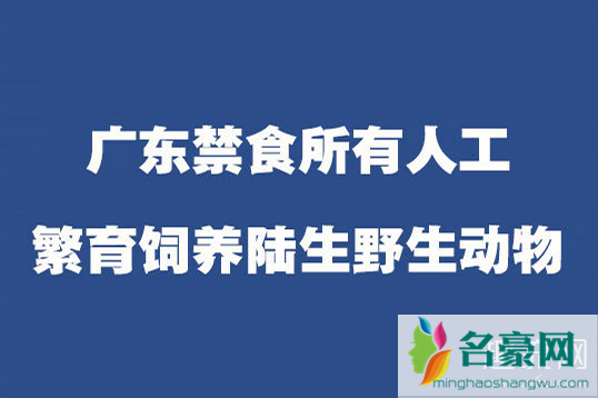 广东禁食所有人工饲养陆生野生动物 陆生野生动物是什么意思 包括哪些