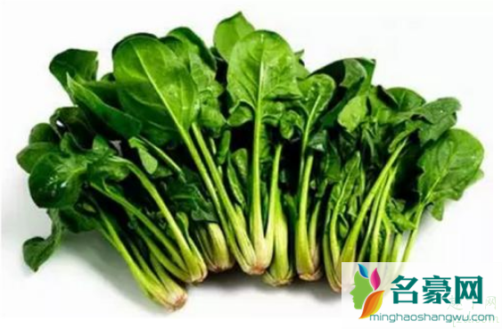 菠菜红根的好还是白根的好 菠菜红根白根哪个好3