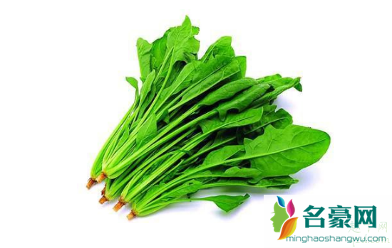 菠菜红根的好还是白根的好 菠菜红根白根哪个好2