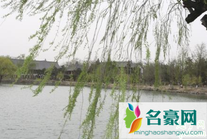 北京几月飞絮几月结束2020 一次性医用口罩可防护杨柳飞絮吗2