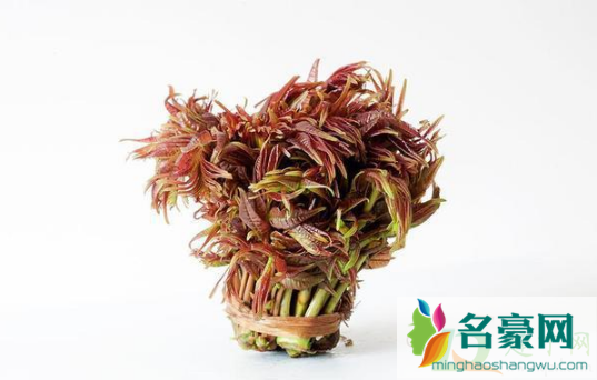 香椿过了清明还能吃吗1