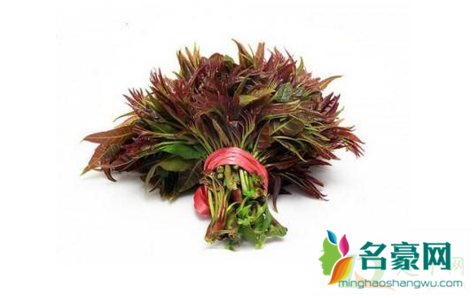 香椿几月份吃最好2