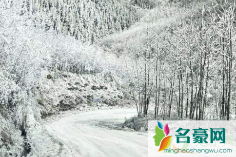 下雪天开车可以踩刹车吗2