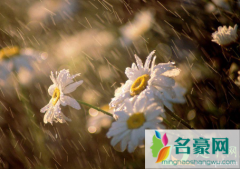 2021年上海梅雨季节几月份到几月份 上海梅雨季节什