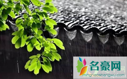 2021梅雨季节怎样防止家里发霉3