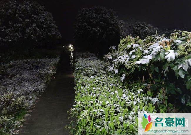3月下雪正常吗 3月下雪了有什么征兆