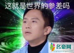 创造营世界的参差是什么意思 创造营2021为什么这么