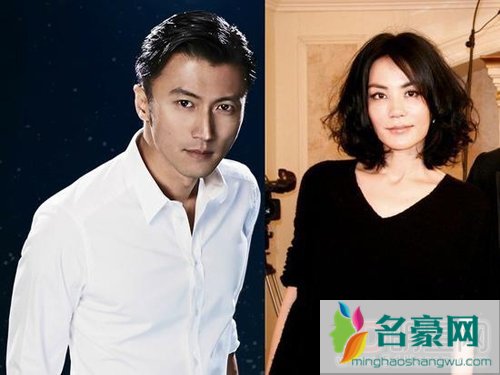 王菲和谢霆锋床上照片什么梗 为什么说王菲玩坏子宫一直不好怀孕