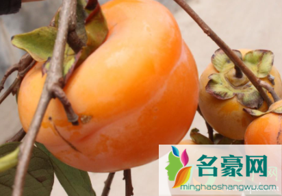 柿子里面黑黑的是坏了吗3