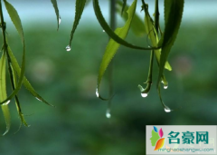 2021年梅雨季节有几天 梅雨季节的注意事项