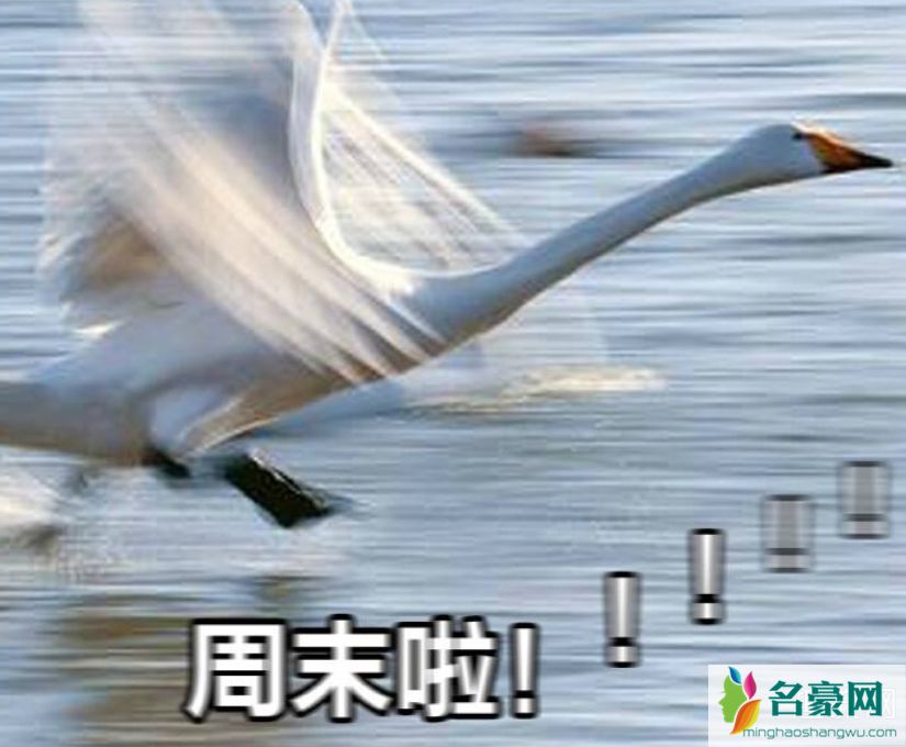 2.5天周末政策利弊 周末2.5天是真的吗