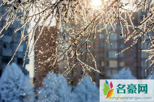 2021年冬天会不会有大雪1