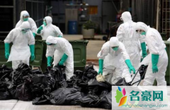 香港疫情是境外输入还是本土 香港疫情怎么防控