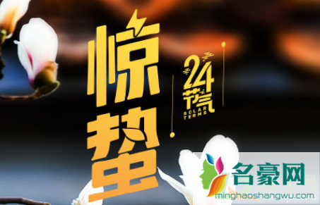 惊蛰的蛰是什么意思1