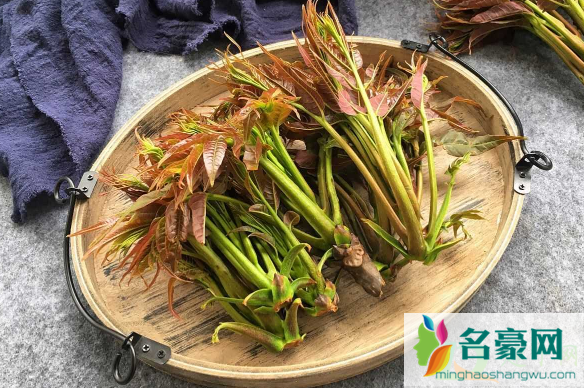 香椿怎么去除亚硝酸盐2