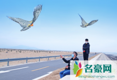 春分为什么放风筝 春分放风筝的意义是什么