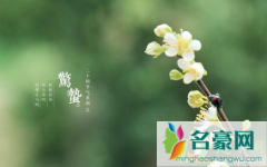 惊蛰当天吃什么 惊蛰吃梨有什么寓意