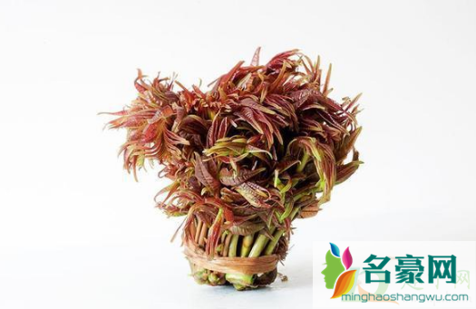香椿是香的还是臭的1