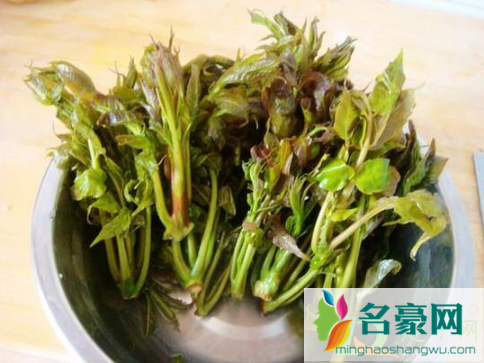 香椿焯水要加点盐吗3