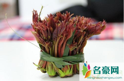 香椿焯水要加点盐吗2