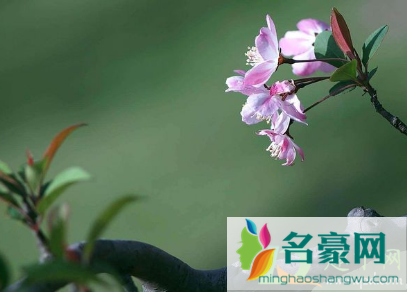 春分就是春社吗1